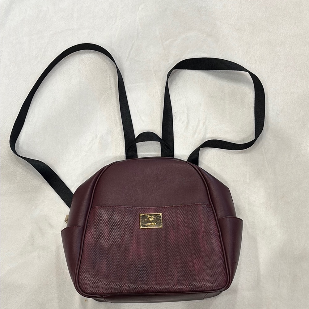 Allen Solly Maroon Backpack with Black Straps